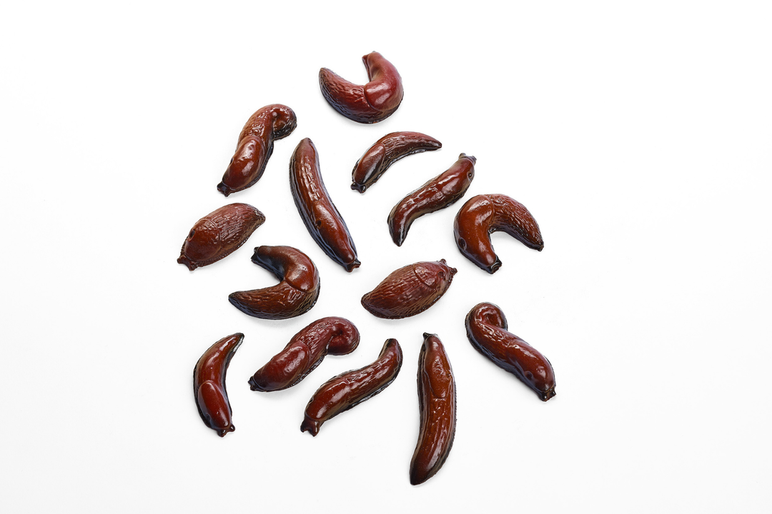 14 Milk Chocolate Garden Slugs