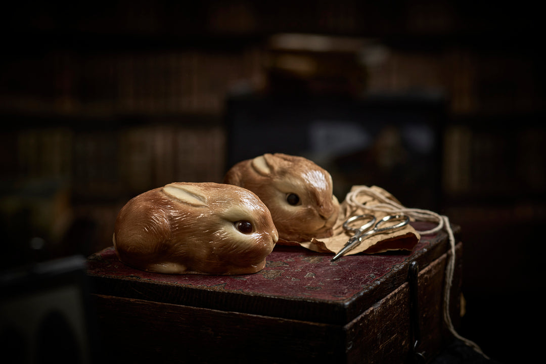 Chocolate Bunny Image