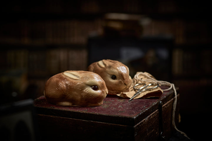 Chocolate Bunny Image