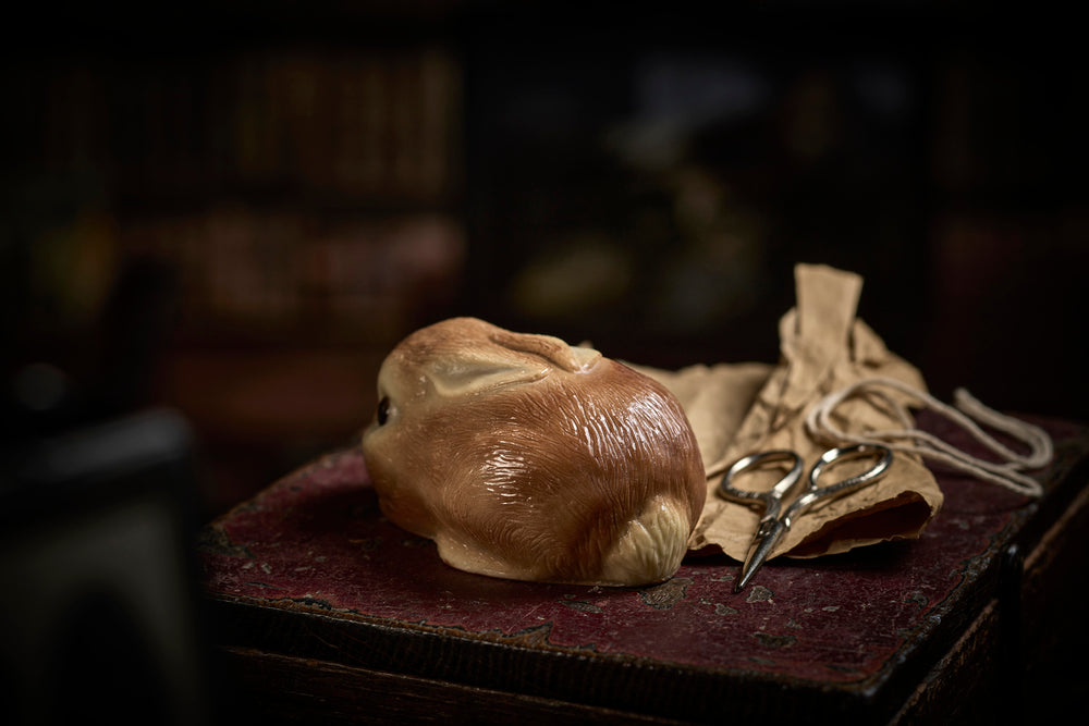 Chocolate Bunny Image