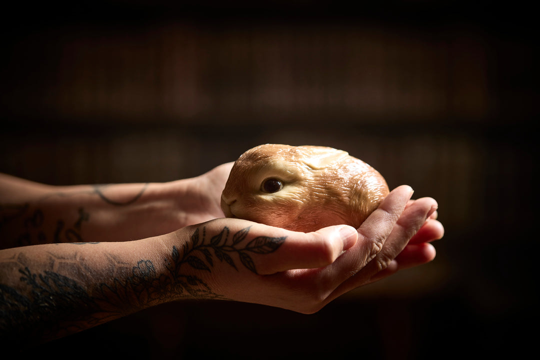 Chocolate Bunny Image