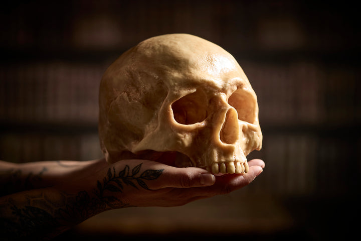 Chocolate Human Skull