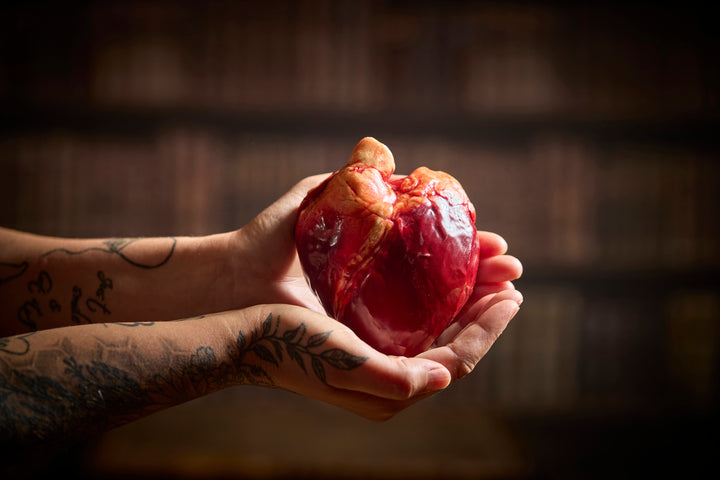 Chocolate Human Heart