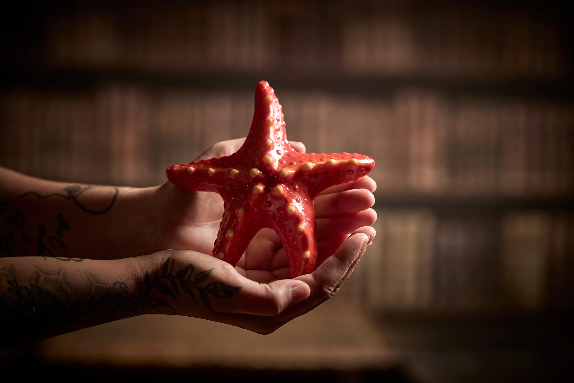 Chocolate Starfish â The Edible Museum