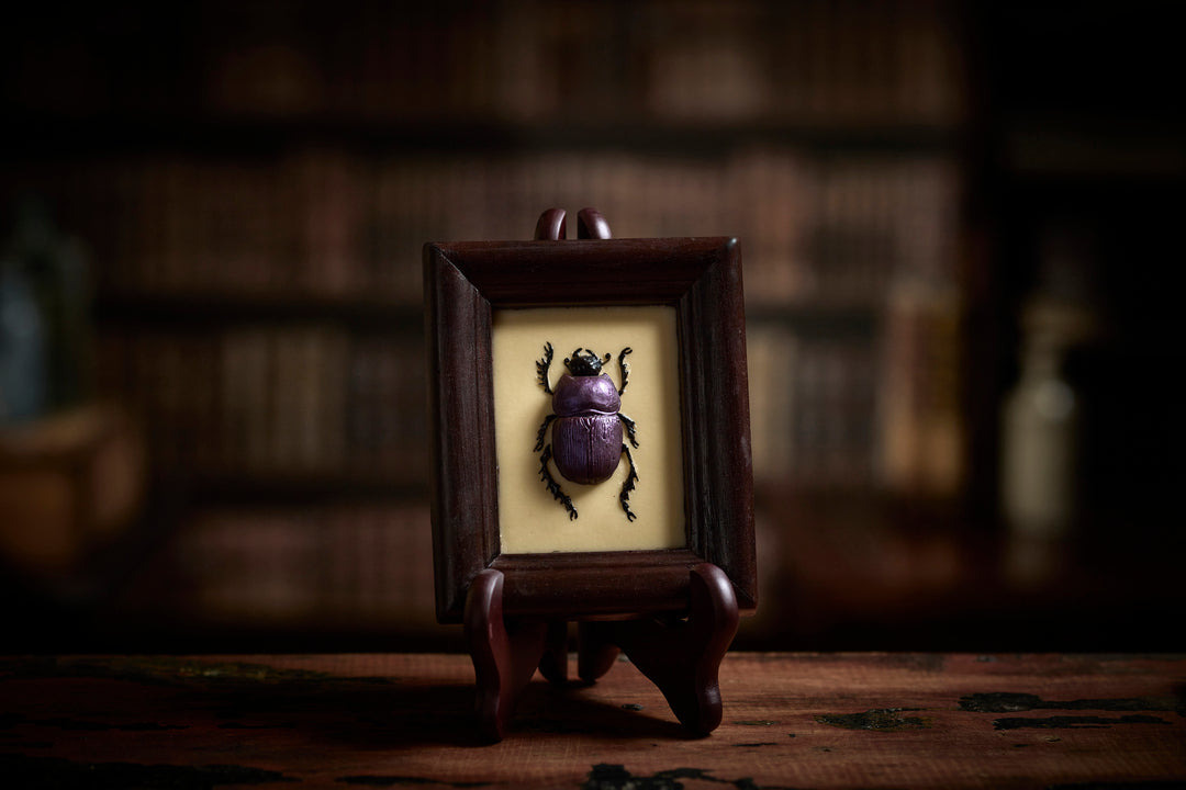 Chocolate Dung Beetle Image