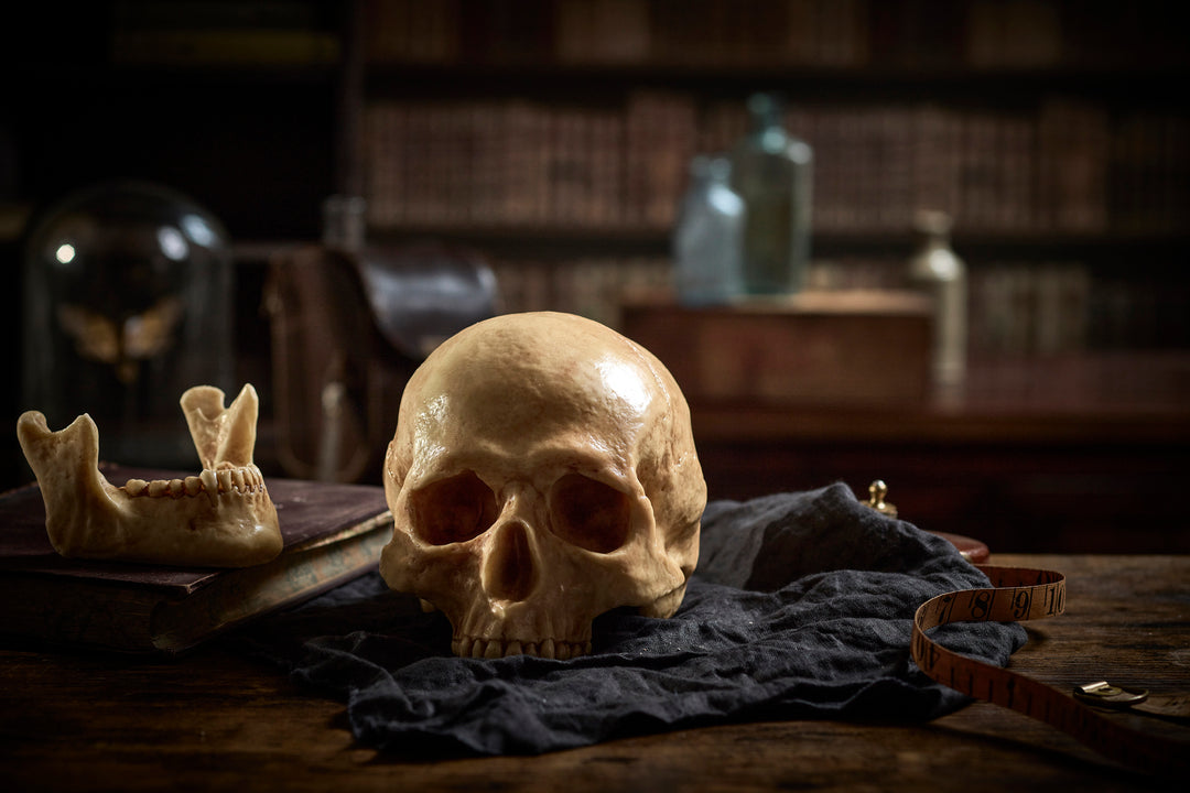 Chocolate Human Skull