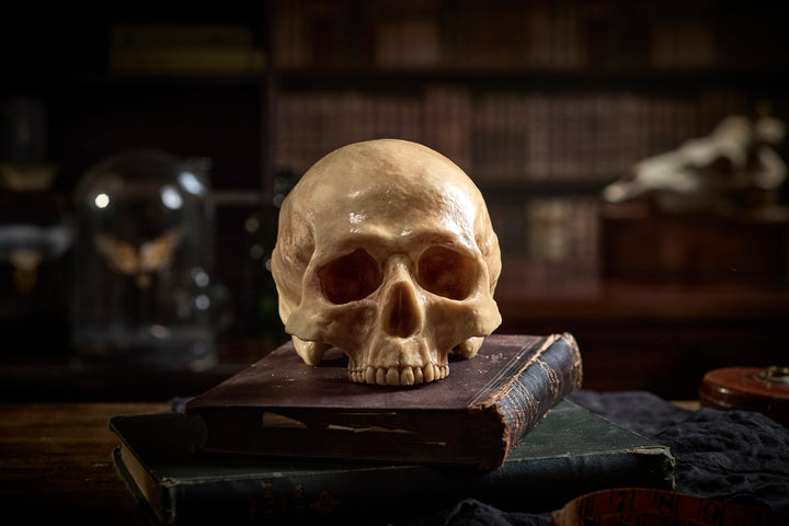 Chocolate Human Skull