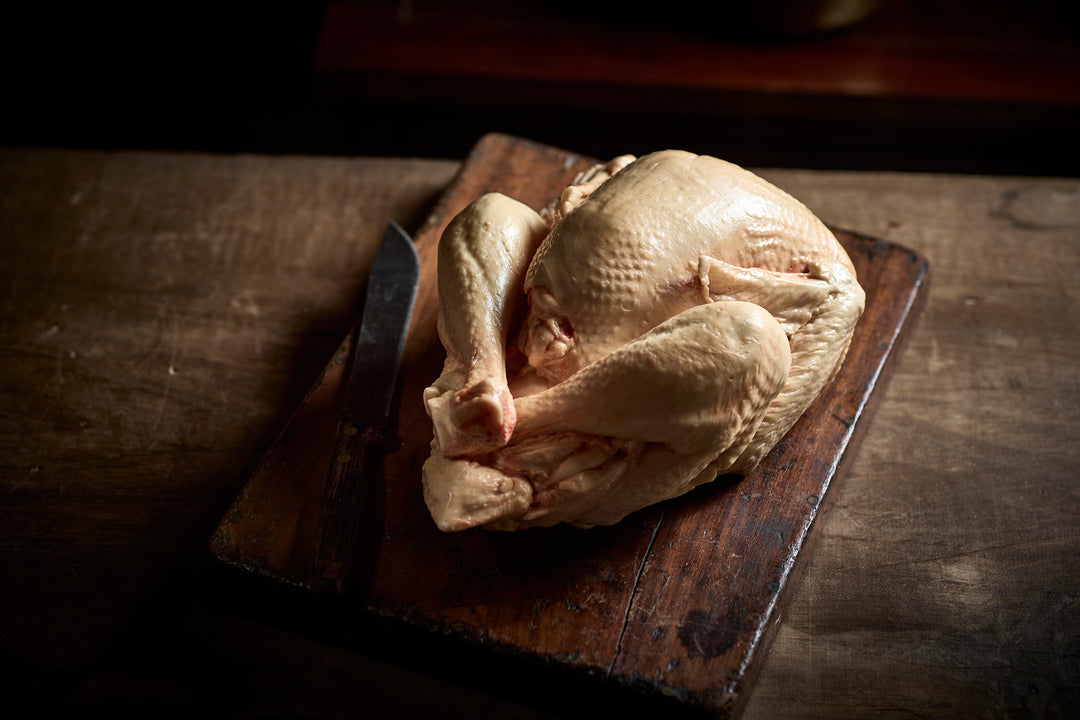 PRE-ORDER Chocolate Turkey (Raw)