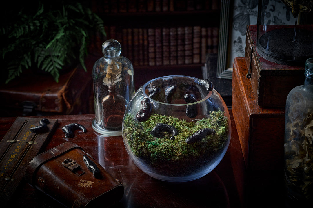 NEW! 14 Chocolate Leeches