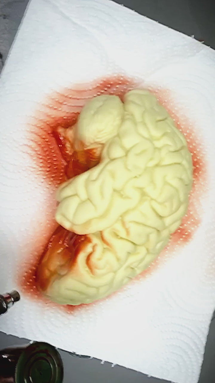 Chocolate Human Brain