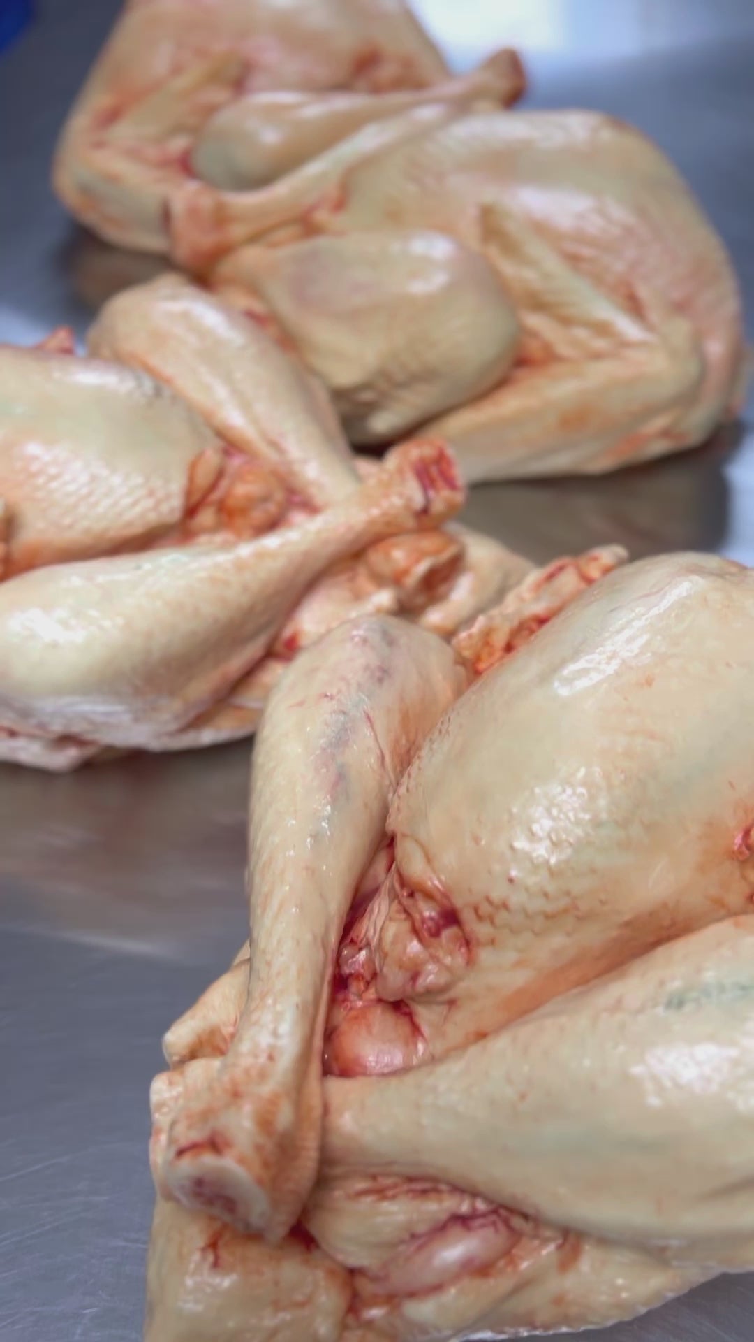 PRE-ORDER Chocolate Turkey (Raw)