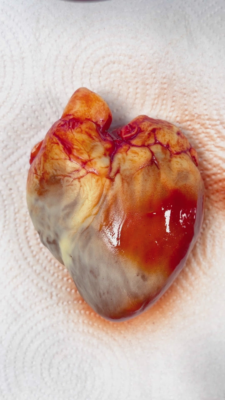 Chocolate Human Heart