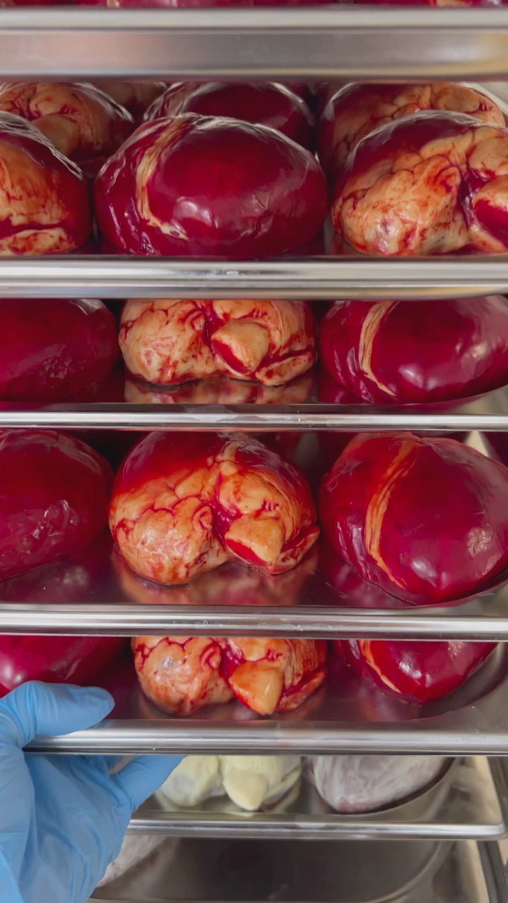 Chocolate Human Heart