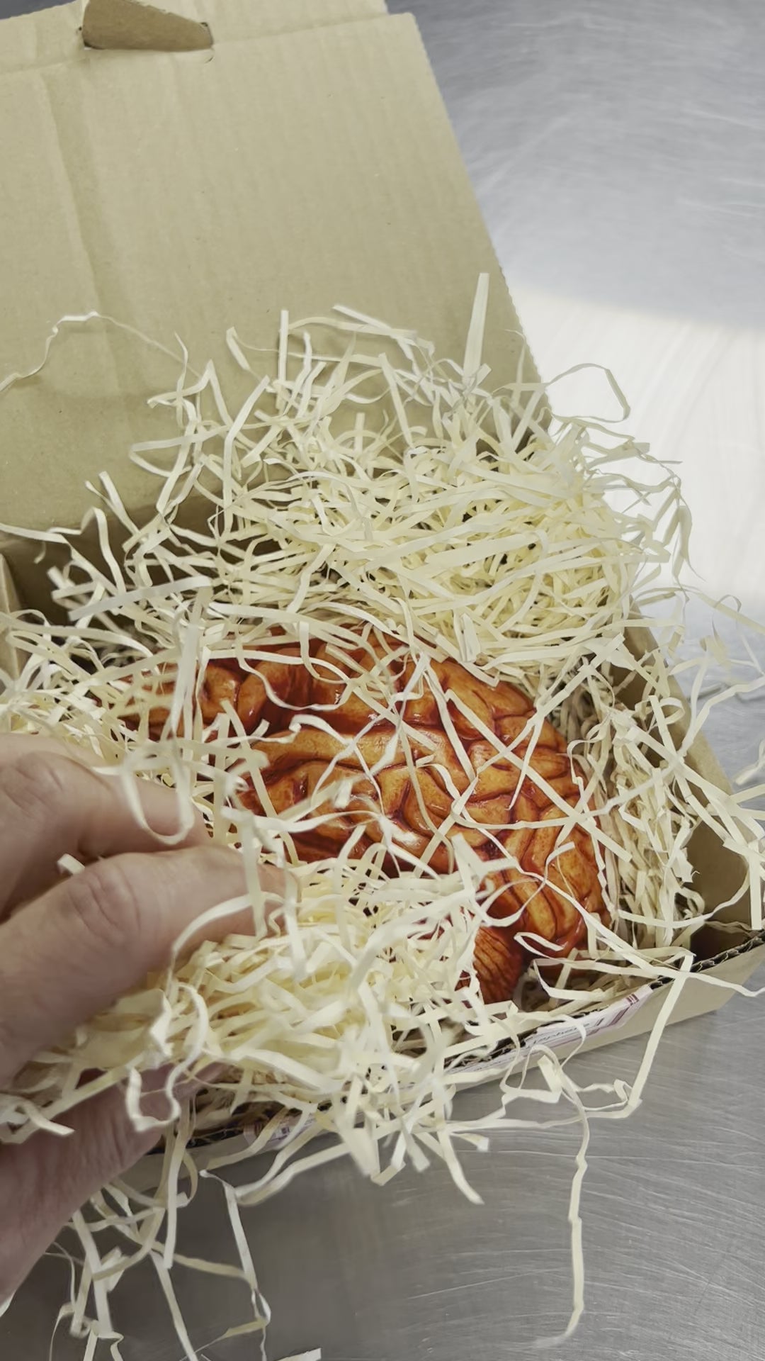 Chocolate Human Brain