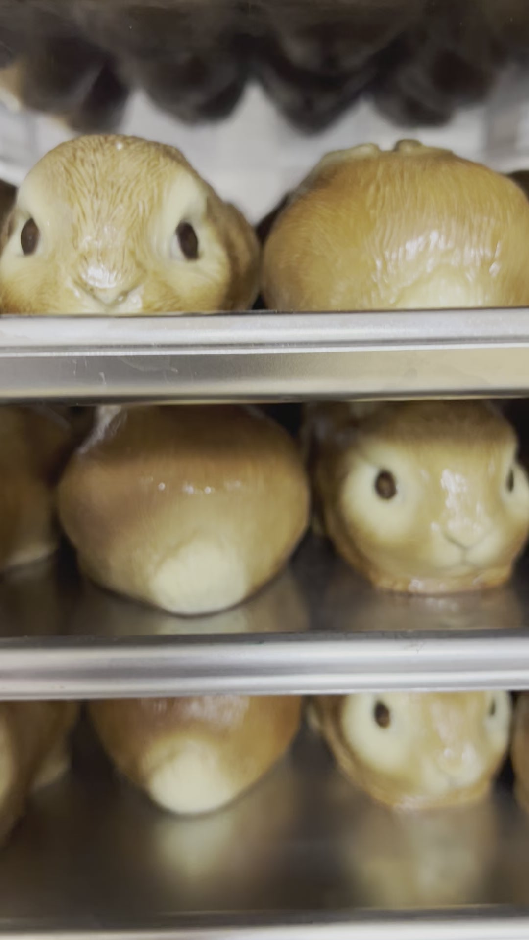 Chocolate Bunny Being Made Video