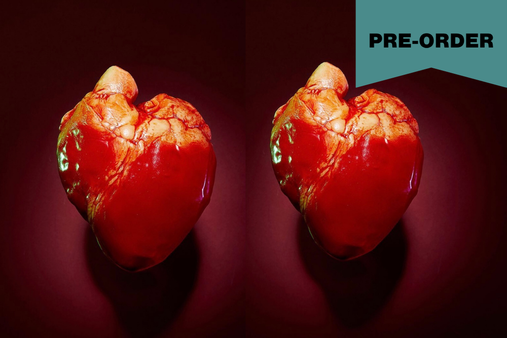 A split-screen view of a realistic chocolate red and orange anatomical heart model on a dark maroon background, with a teal banner in the top-right corner reading 'PRE-ORDER'.