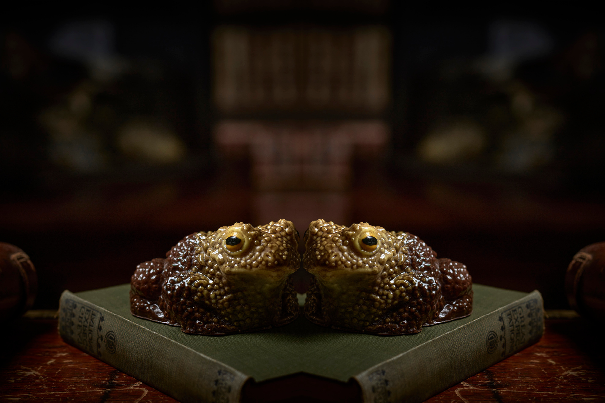 Two Chocolate Toads Bundle | Easter Treats – Edible Museum – The Edible ...