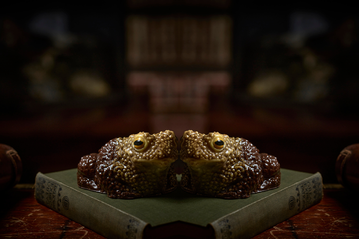 Two Chocolate Toads Bundle