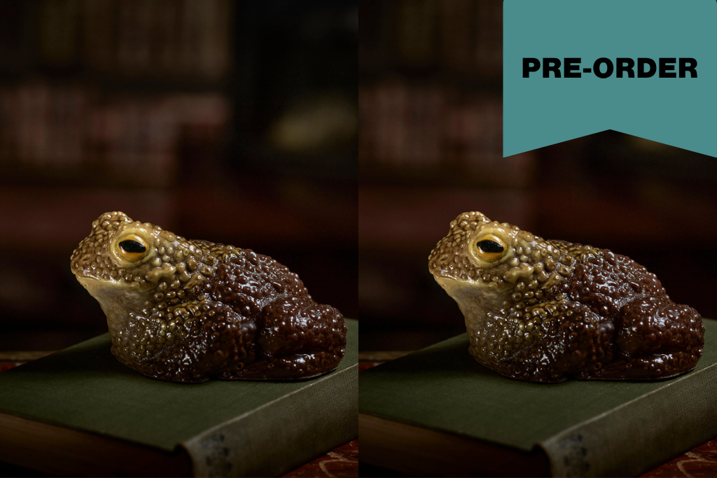 A split-screen product image showing chocolate toads brown and gold sitting on a dark green book, with a teal 'PRE-ORDER' banner in the top right corner against a blurred library background.