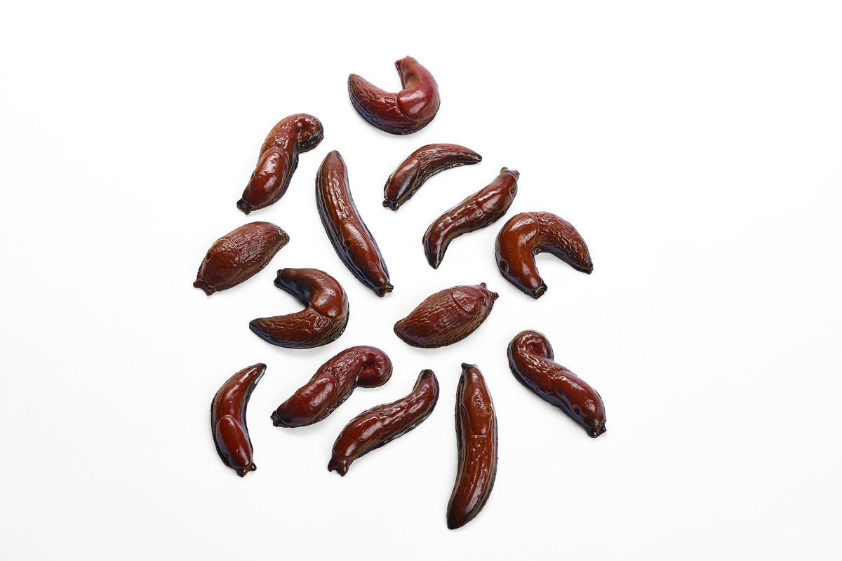 Realistic Chocolate slugs scattered on a white background. Edible Museum Gift Shop and Chocolate Curiousities 
