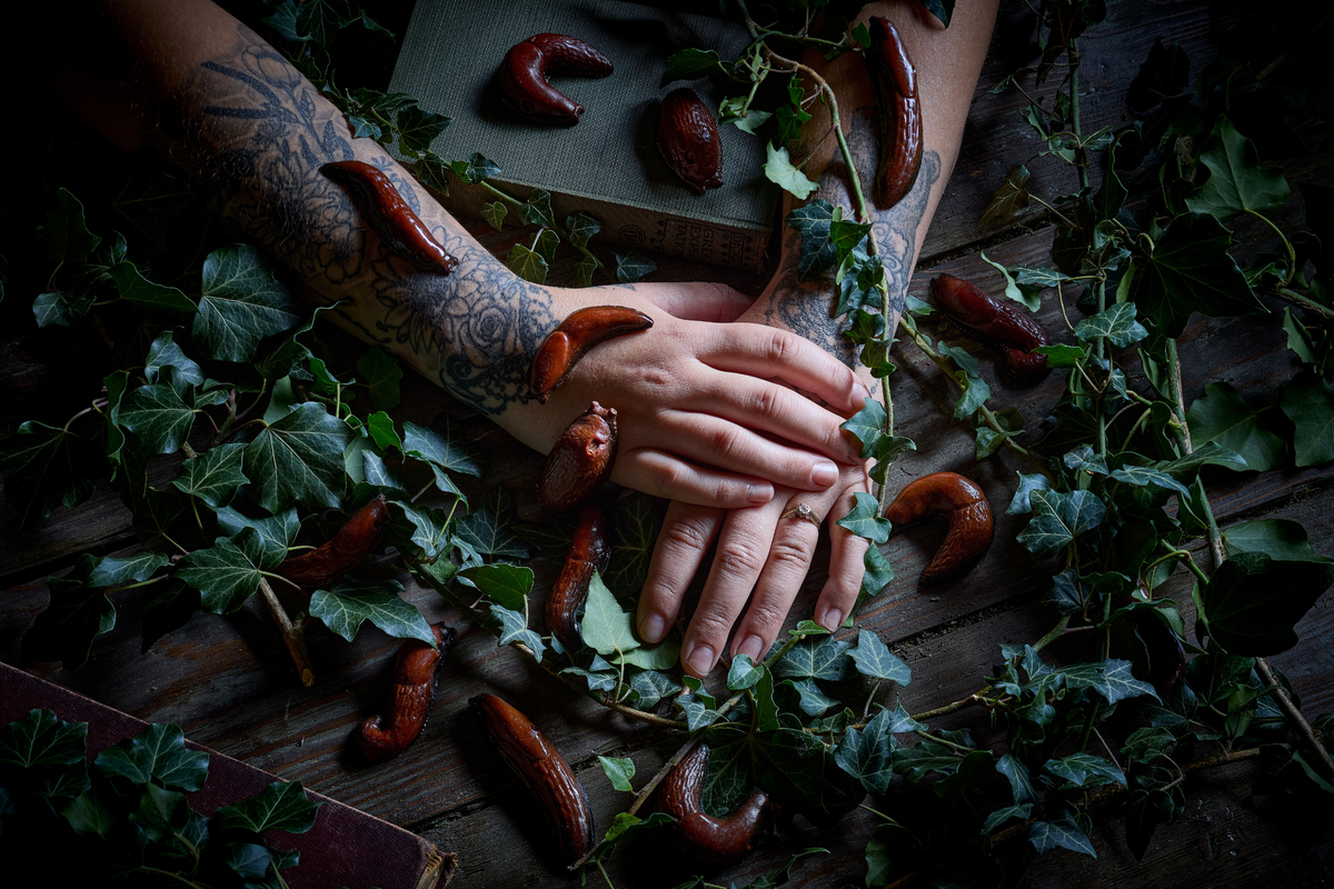 Person with tattoos holding hands over a wooden surface with chocolate garden slugs and green leaves. The edible museum chocolate realistic slugs for gifting. 