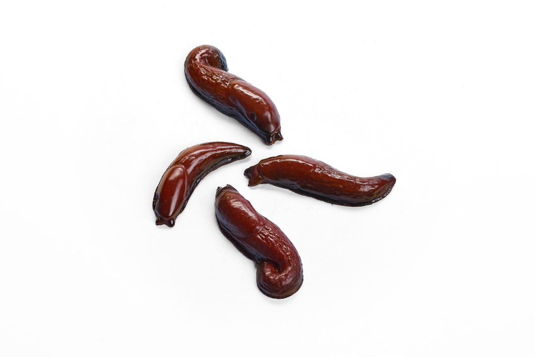 PRE-ORDER 14 Chocolate Garden Slugs