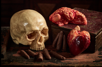 An assortment of milk and white chocolate pieces shaped and painted to represent various human anatomical structures, displayed on a wooden surface.
