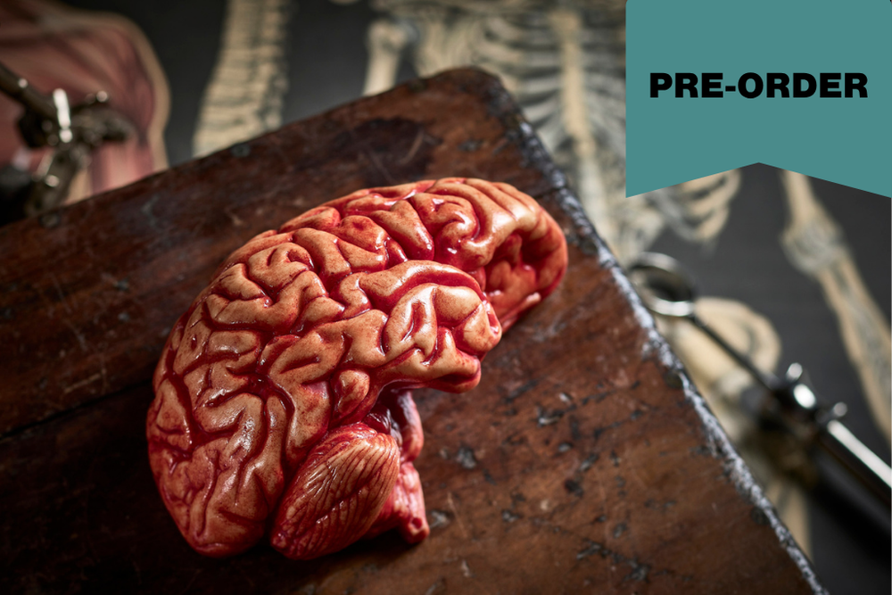 A realistic anatomical model of a human brain made in chocolate displayed on a dark wooden surface with medical props in the background. A teal banner in the top right corner reads 'PRE-ORDER'.