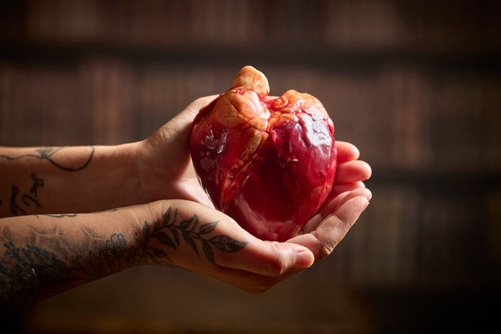 A realistically hand made chocolate human heart is held in two tattooed hands in a dark room