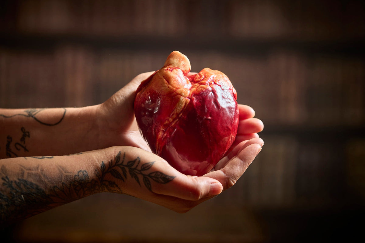 A realistically hand made chocolate human heart is held in two tattooed hands in a dark room. Edible Museum Chocolate Gifts 