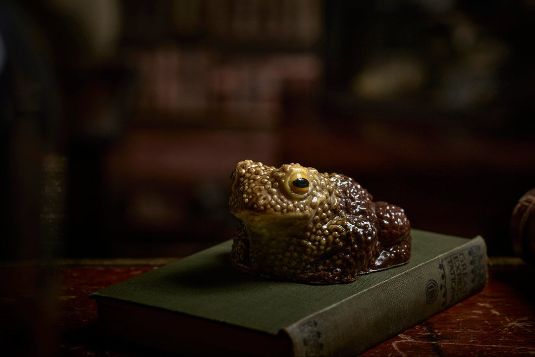 A handmade chocolate toad with yellow and black eyes, placed on a green book, against a blurred background.