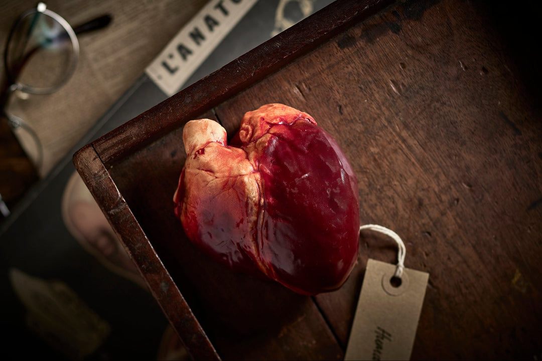 A chocolate anatomical heart with realistic details, placed on a wooden surface with a tag attached.