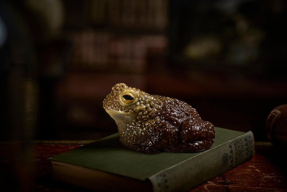 detailed replica of toad made in chocolate sits on and old book in a dark blurry room