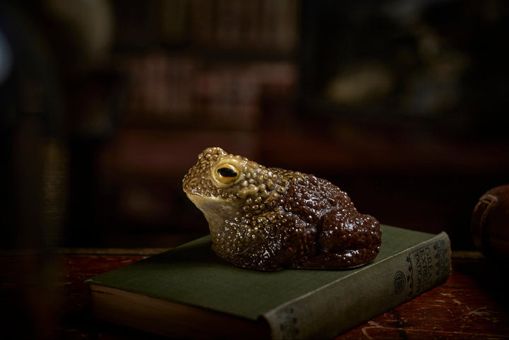detailed replica of toad made in chocolate sits on and old book in a dark blurry room