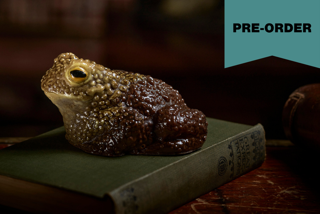 A realistic chocolate sculpture of brown and gold warty frog or toad sitting on top of a vintage green book, with a teal 'PRE-ORDER' banner in the upper right corner.