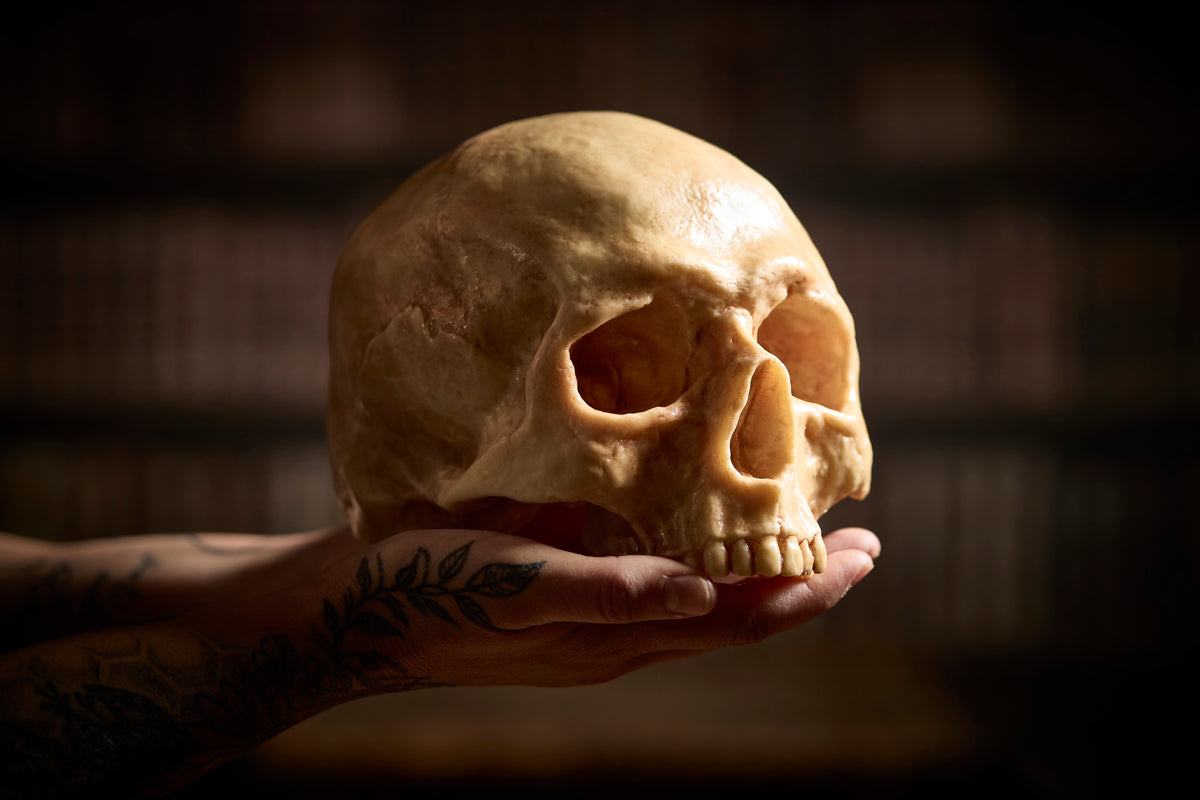 Hand holding a chocolate skull, by the Edible Museum Store 