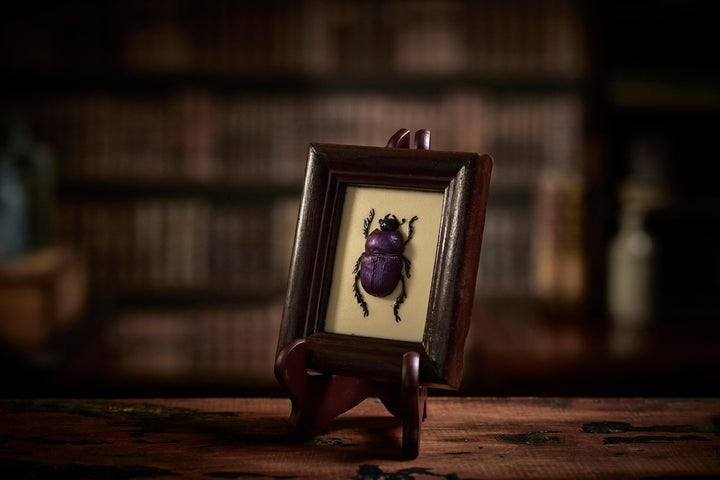 Chocolate Dung Beetle Image