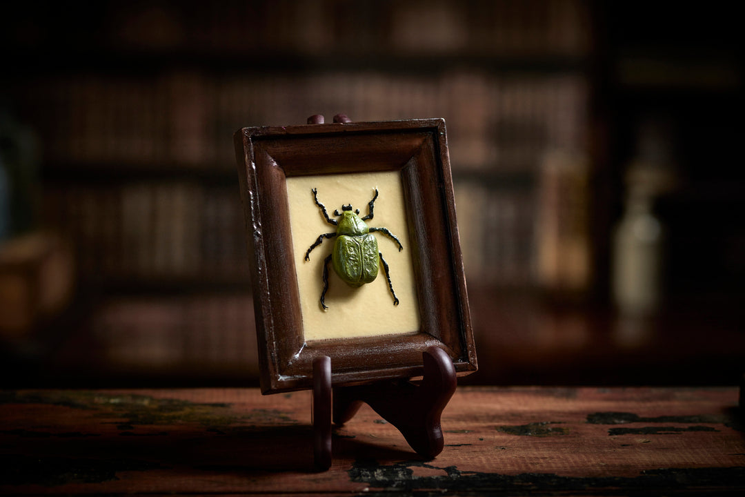 Chocolate Noble Chafer Beetle