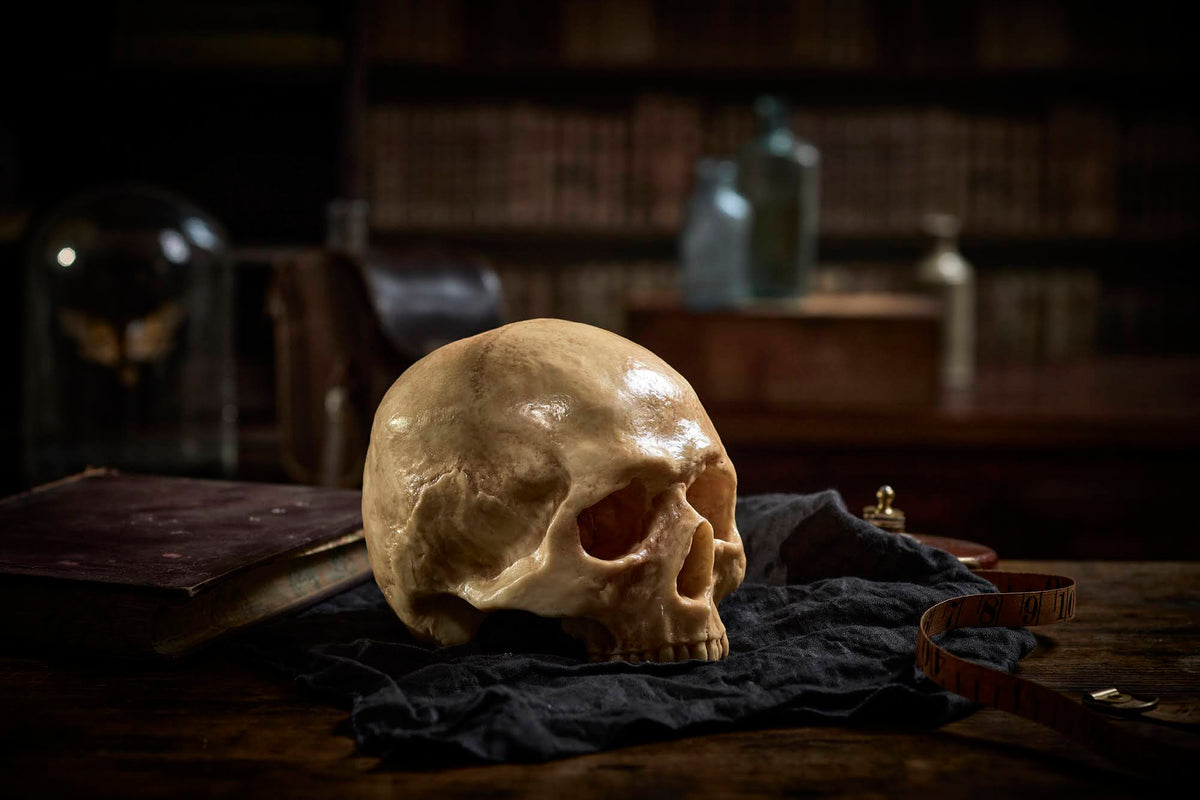 Chocolate human skull on a dark cloth with a mystical background. The Edible Museum Store 