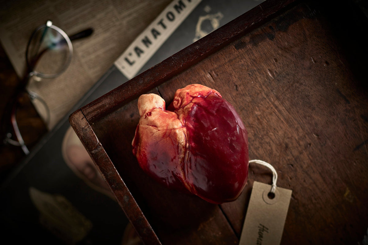 A life-size chocolate human heart with a realistic finish, displayed on a wooden surface. The Edible Museum