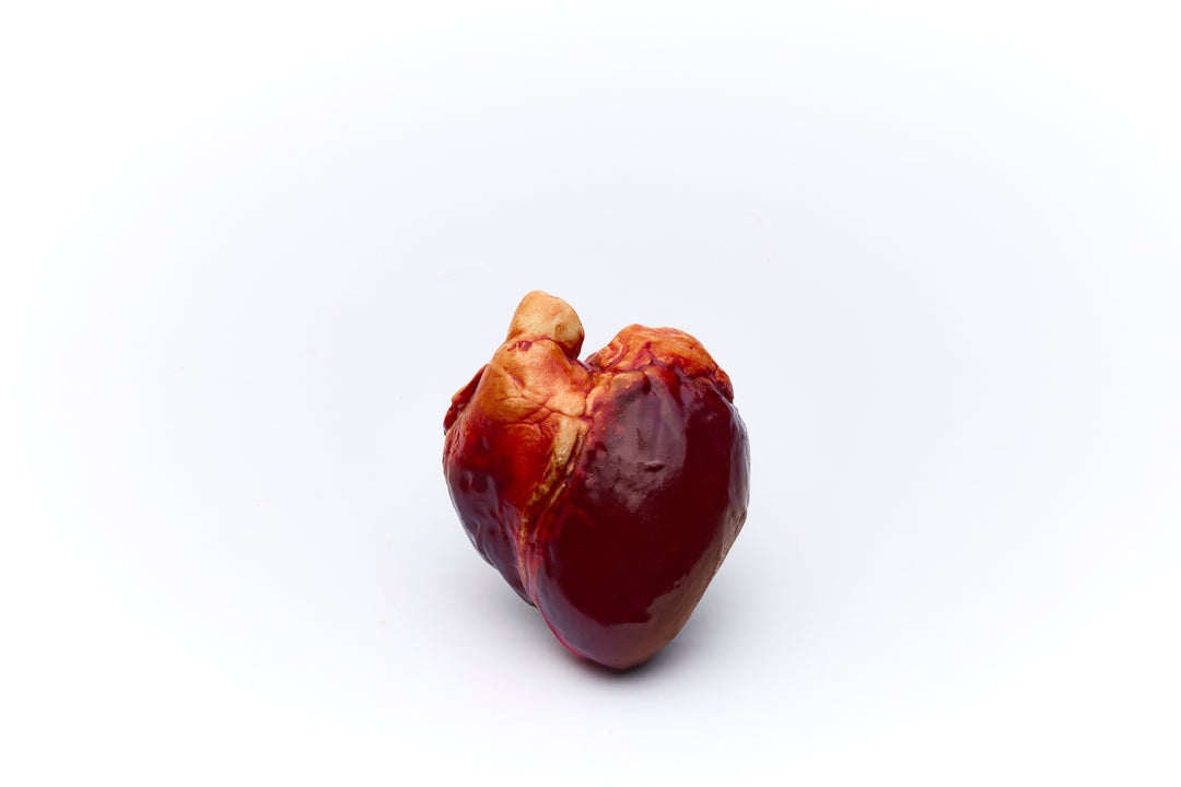 PRE-ORDER Chocolate Human Heart