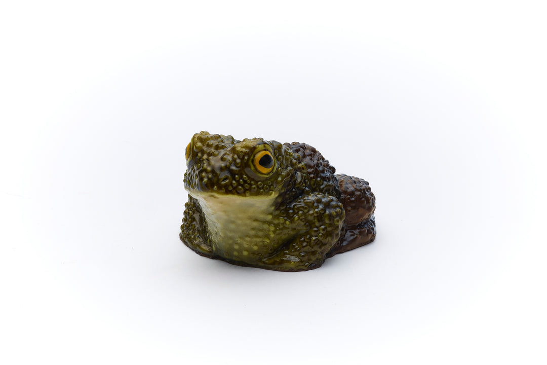 PRE-ORDER Chocolate Toad