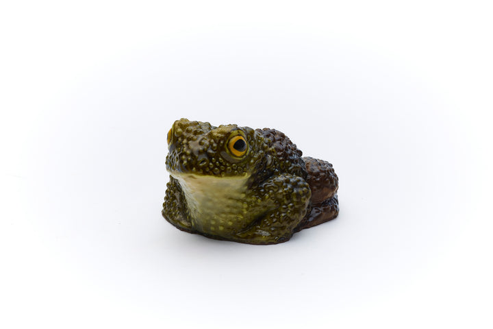 PRE-ORDER Chocolate Toad