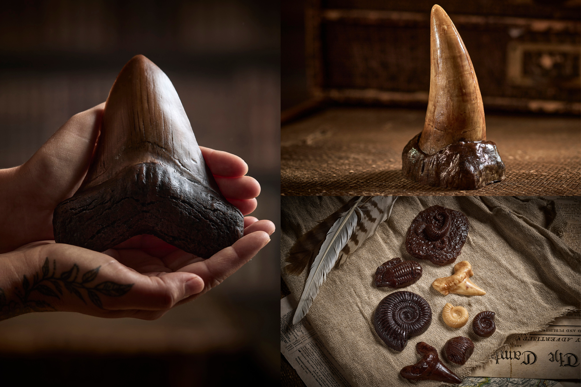 Chocolate Bundles