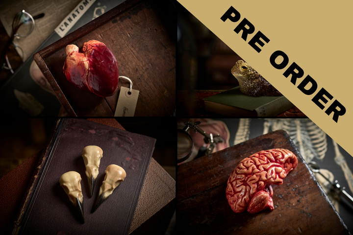 PRE-ORDER Halloween Bundle