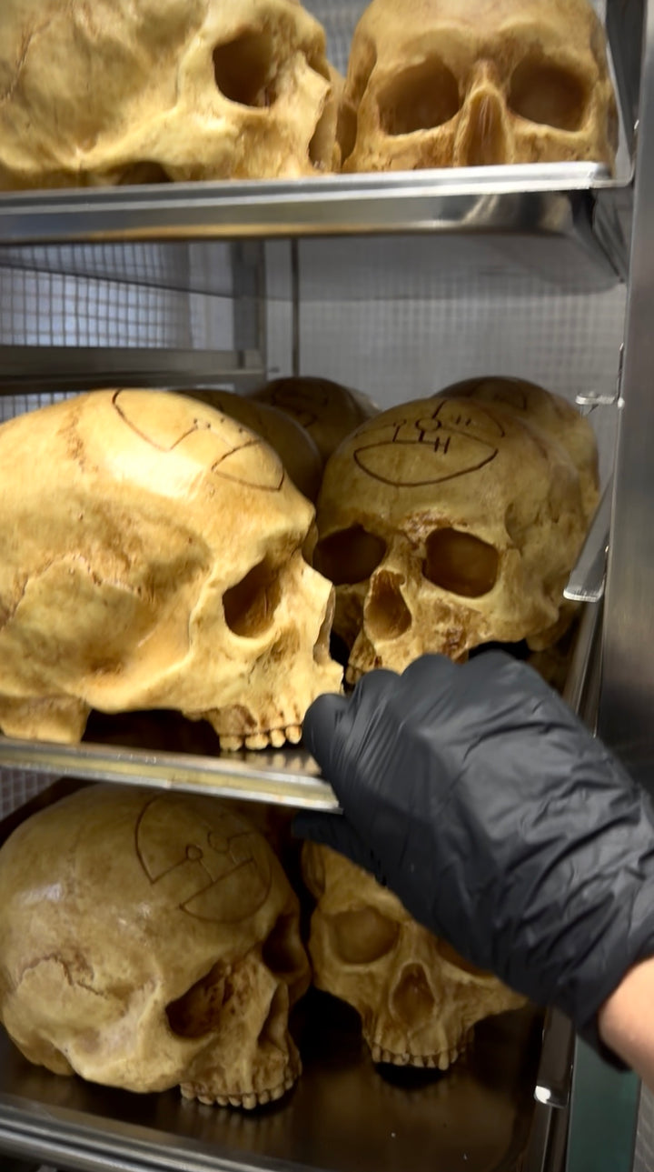 PRE-ORDER Chocolate Human Skull