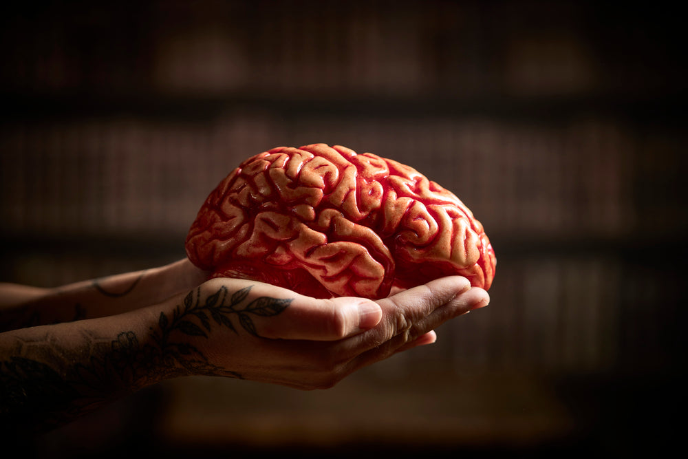 realistic chocolate brain held in live hands