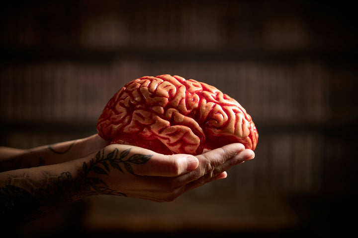 realistic chocolate brain held in live hands