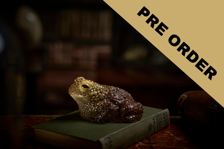 PRE-ORDER Halloween Bundle