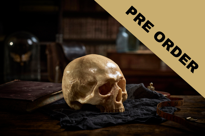 PRE-ORDER Chocolate Human Skull